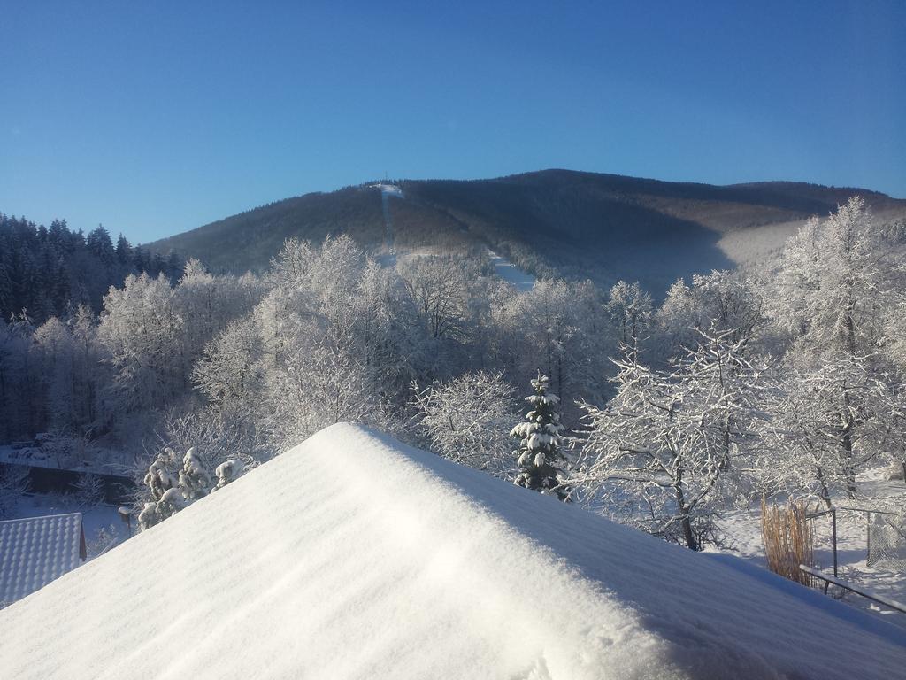 Pokoje Na Skalicy Ustron Kültér fotó